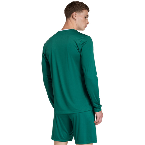 Koszulka męska adidas Entrada 26 Long Sleeve Jersey zielona KF5846