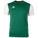 Koszulka męska adidas  ESTRO 19 zielona poliestrowa