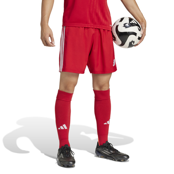 Spodenki męskie adidas Tastigo 25 czerwone JN7157