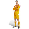 Spodenki męskie adidas Tiro 24 pomarańczowe JN4497