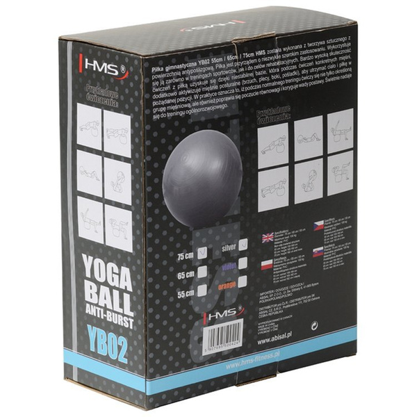 Piłka gimnastyczna fitness HMS Antiburst YB02 75cm szara