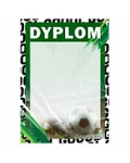 Dyplom papierowy D204