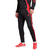 Spodnie męskie adidas Tiro 24 Slim Training czarno-czerwone JP2489