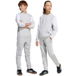 Spodnie dla dzieci adidas Squadra 25 Sweat szare JD4823