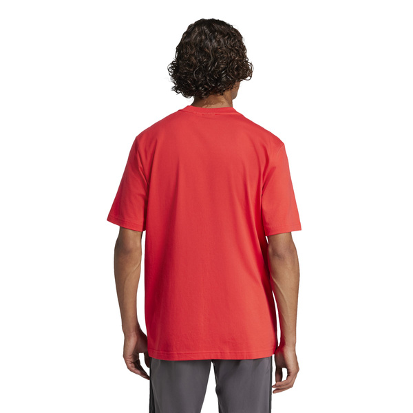 Koszulka męska adidas ESSENTIALS czerwona bawełniana