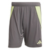 Spodenki męskie adidas Tiro 24 szaro-limonkowe JN1993