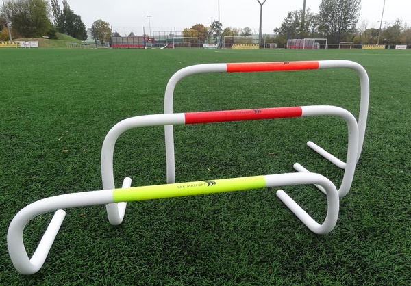 Płotek samowstający 40cm koordynacyjny