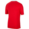 Koszulka męska Nike Dri-FIT Park 20 Polo SS czerwona CW6933 657
