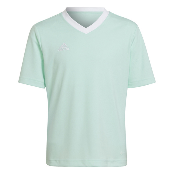 Koszulka dla dzieci adidas Entrada 22 Jersey błękitny