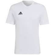 Koszulka męska adidas Tee Tepore biała bawełniana